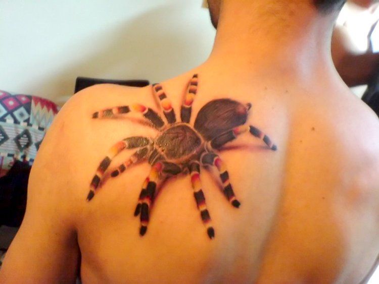  tiquettes araign e tarentule tatoo tatouage